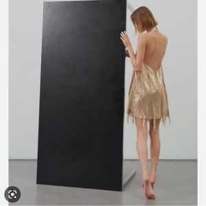 ZARA gold sequin fringed dress